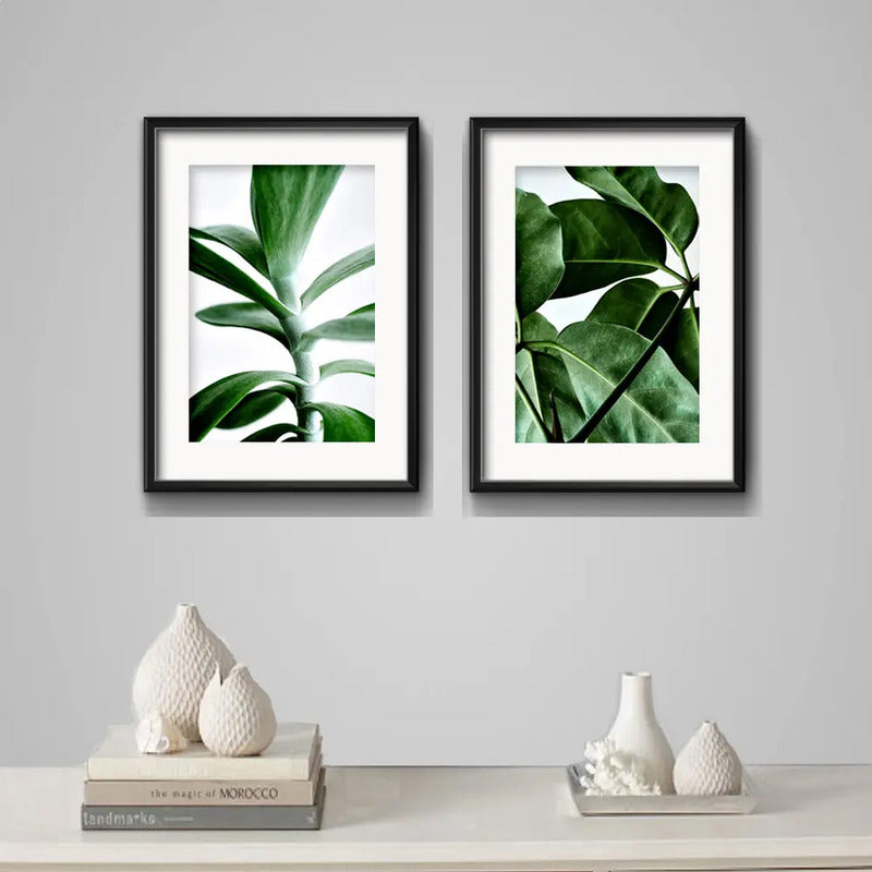 Set 2 Cuadros Hojas Plantas Verdes Decoracion Con Paspartu