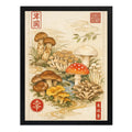 Cuadro Hongos Cucumelos Botanico Japón Vintage Arte Cocina Marco Negro