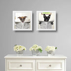 Set 2 Cuadros Perro Baño Mascota Diario Decoracion Pet Brs03
