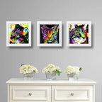 Set 3 Cuadros Gato Pop Art Colors Mascota Pet Decoracion
