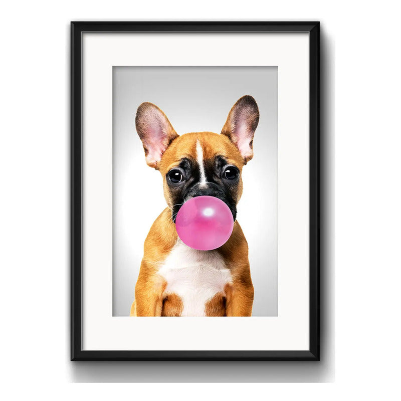 Cuadro Perro Chicle Bulldog Mascota Pet Decoracion Paspartú