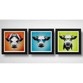 Set 3 Cuadros Vaca Hipster Pop Art Gafas Animales Decoracion