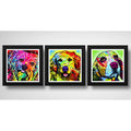 Set 3 Cuadros Perro Pop Art Colors Razas Mascotas Decoracion