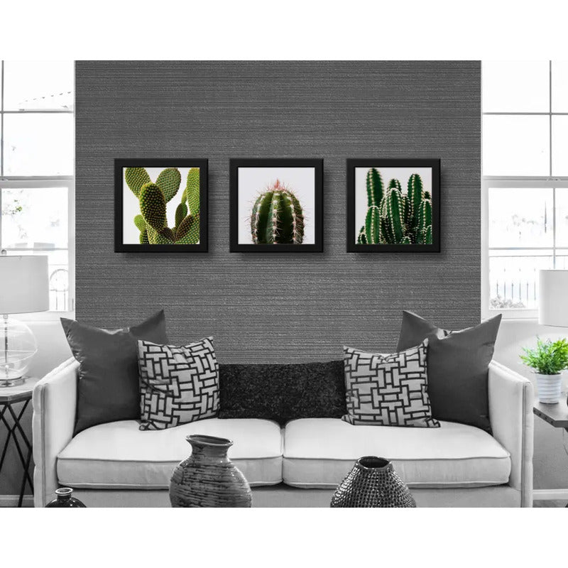 Set 3 Cuadros Cactus Suculentas Plantas Botanico Decoracion