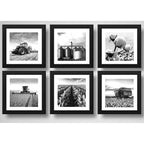Set 6 Cuadros Agronegocios Soja Algodon Tractor Silo 33x33cm Marco Negro