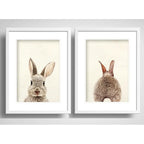 Set 2 Cuadros Conejo Pet Animal Arte Decoracion Con Paspartú