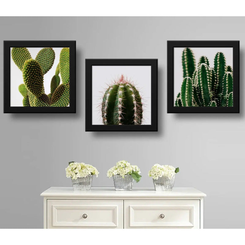 Set 3 Cuadros Cactus Suculentas Plantas Botanico - 33x33cm Marco Negro