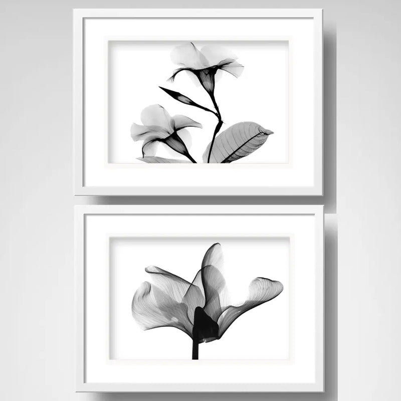 Set 2 Cuadros Flor Minimalista Blanco Y Negro Con Paspartu