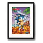 Cuadro Sonic Juego Retro Sega Game Decoracion Con Paspartú Marco Negro