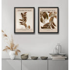 Set 2 Cuadros Dormitorio Living Tonos Marron Hojas Botanico Marco Negro