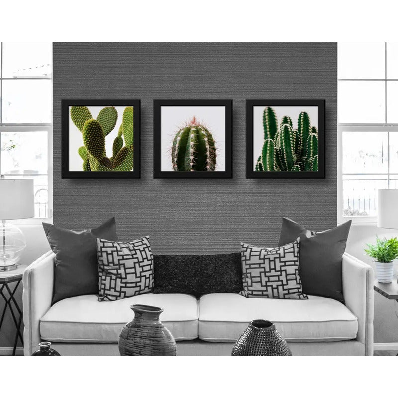Set 3 Cuadros Cactus Suculentas Plantas Botanico - 33x33cm Marco Negro