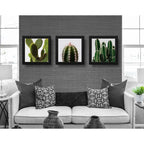 Set 3 Cuadros Cactus Suculentas Plantas Botanico - 33x33cm Marco Negro