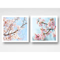 Set 2 Cuadros Sakura Flores Cerezo Arte Japones 33x33cm Marco Blanco
