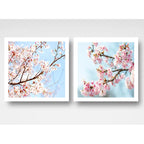 Set 2 Cuadros Sakura Flores Cerezo Arte Japones 33x33cm Marco Blanco