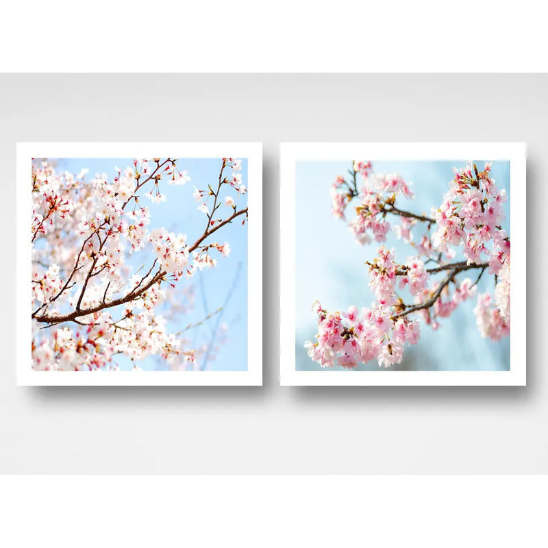 Set 2 Cuadros Sakura Flores Cerezo Arte Japones 33x33cm Marco Blanco