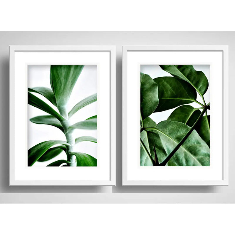 Set 2 Cuadros Hojas Plantas Verdes Decoracion Con Paspartu