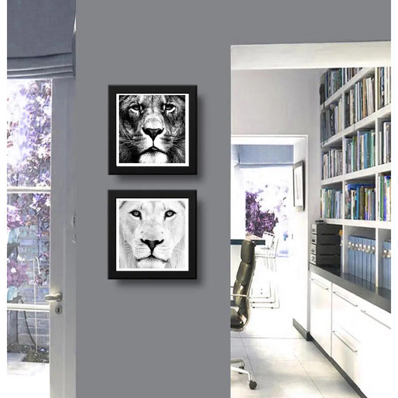 Set 2 Cuadros Leon Blanco Leones Sabiduría Animal Decoracion