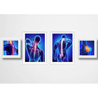 Set 4 Cuadros Ortopedia Rayos X Cuerpo Humano Clinica Medica