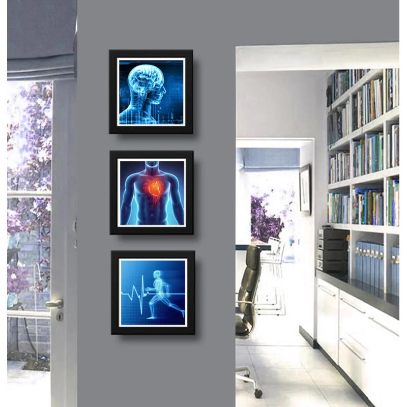 Set 3 Cuadros Medico Rayo X Anatomia Cuerpo Humano Clinica