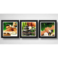 Set 3 Cuadros Spa Masaje Clinica Estética Salon - 33x33cm Marco Negro