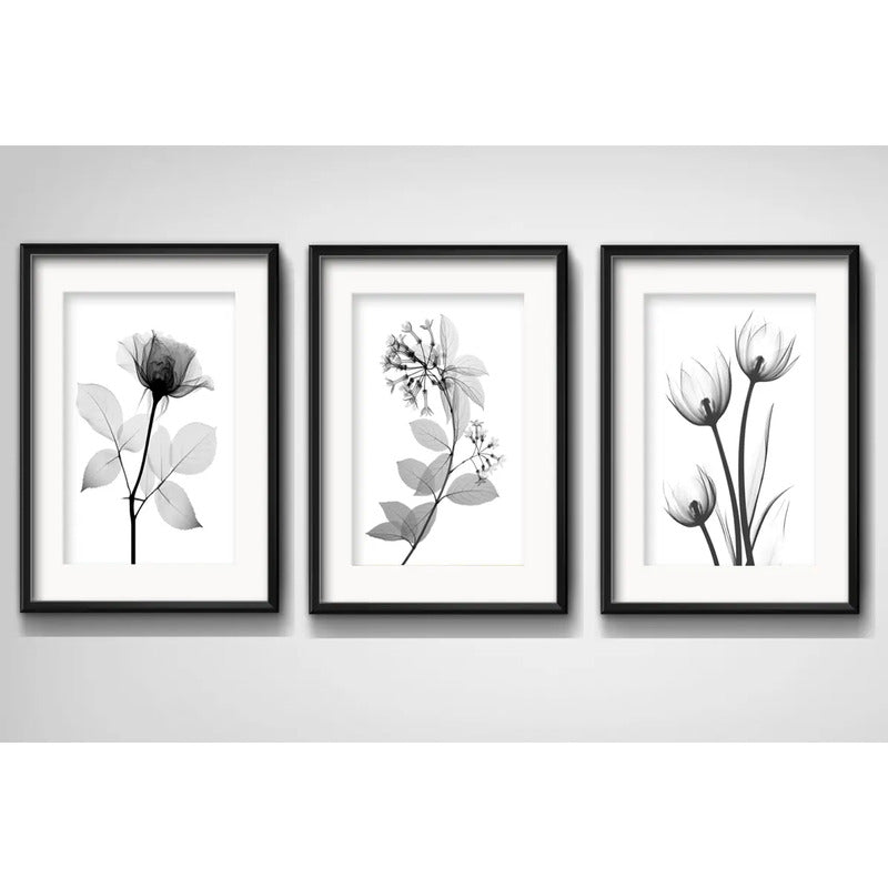 Set 3 Cuadros Flores Hojas Minimalista Blanco Negro Paspartú