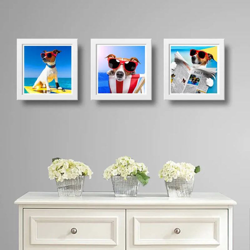 Set 3 Cuadros Perro Playa Surf Mascota Pet Arte Decoracion