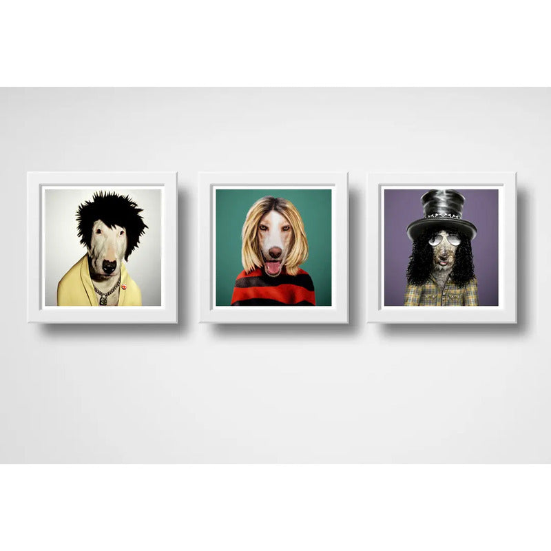Set 3 Cuadros Perros Rock Kurt Cobain Slash Sid Vicious Arte