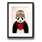 Cuadro Oso Panda Aviador Pop Art Animal Decoracion Paspartú Marco Negro