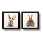 Set 2 Cuadros Conejo Pet Animal Arte Decoracion