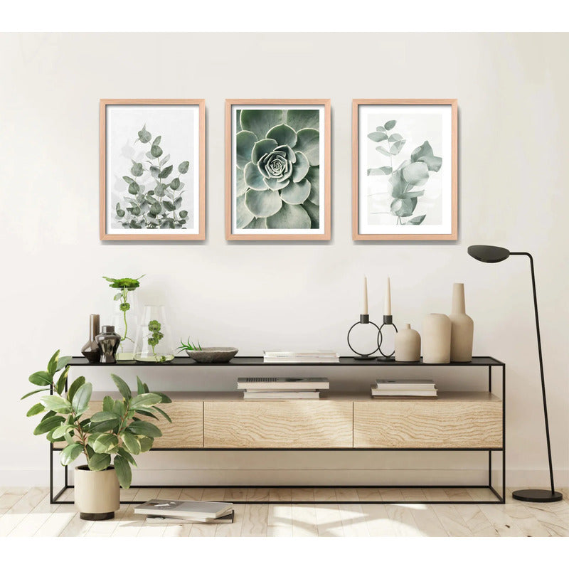Set 3 Cuadros Naturaleza Verde Hojas Plantas Botanica Oak Marco Marrón Claro