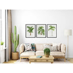 Set 3 Cuadros Palmeras Colección 2 Vintage Plantas Botanico Marco Negro