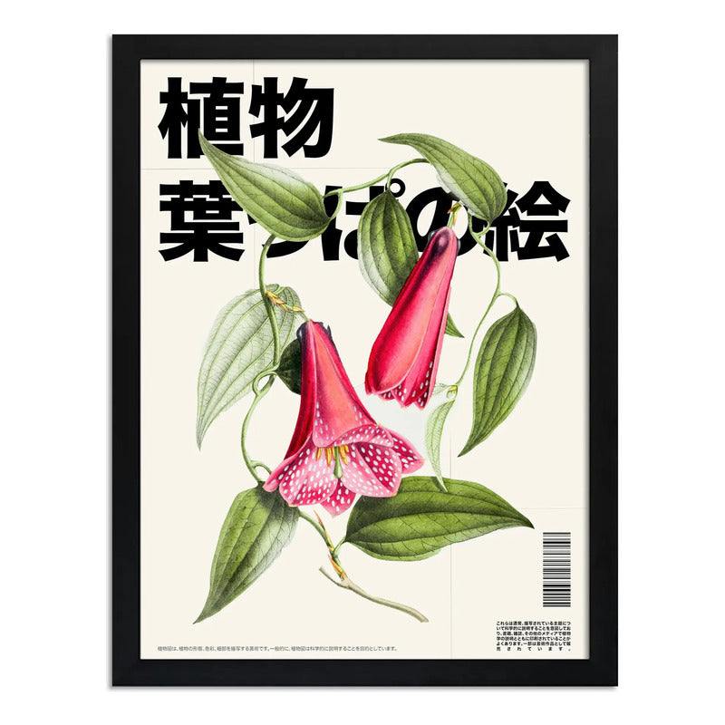 Cuadro Copihue Flor De Chile Botanica Flores Arte Japones Marco Negro