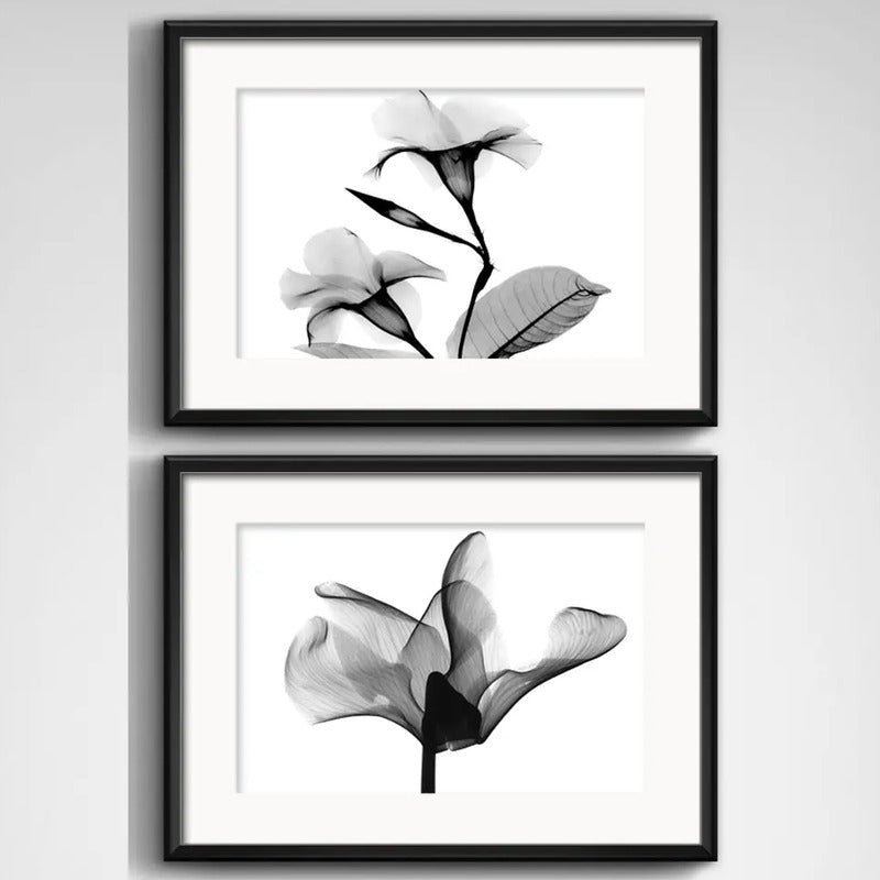 Set 2 Cuadros Flor Minimalista Blanco Y Negro Con Paspartu