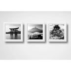 Set 3 Cuadros Japon En Blanco Y Negro Monte Fuji Templo Arte