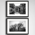 Set 2 Cuadros Paisajes Blanco Y Negro Arboles Deco Paspartu