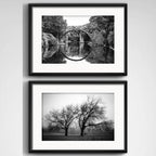 Set 2 Cuadros Paisajes Blanco Y Negro Arboles Deco Paspartu