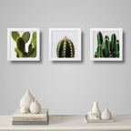 Set 3 Cuadros Cactus Suculentas Plantas Botanico Decoracion
