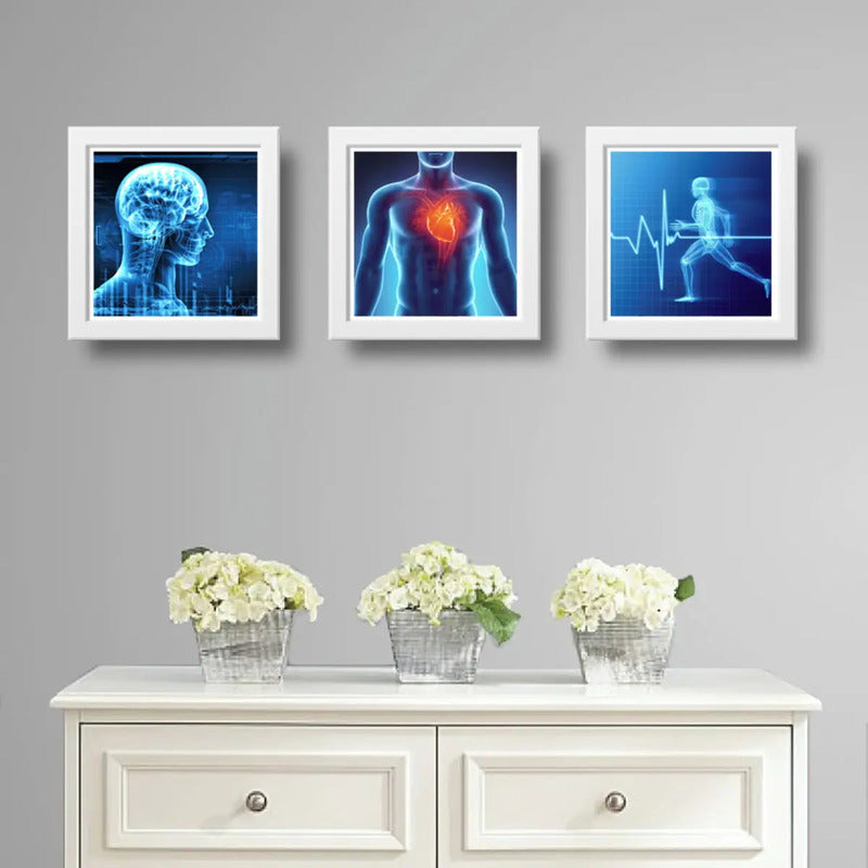 Set 3 Cuadros Medico Rayo X Anatomia Cuerpo Humano Clinica