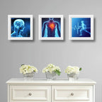 Set 3 Cuadros Medico Rayo X Anatomia Cuerpo Humano Clinica