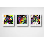 Set 3 Cuadros Gato Pop Art Colors Mascota Pet Decoracion