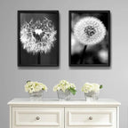 Set 2 Cuadros Diente De Leon Blanco Y Negro Taraxacum Flores