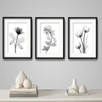 Set 3 Cuadros Flores Hojas Minimalista Blanco Negro Paspartú