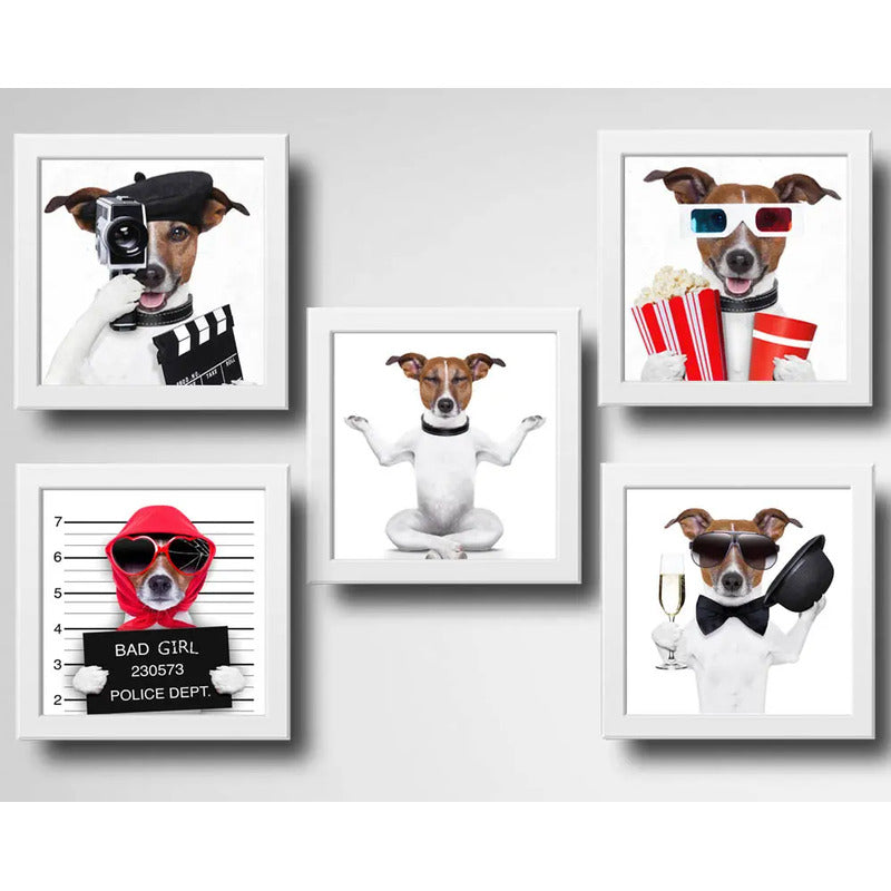 Set 5 Cuadros Perro Lifestyle Cinema Spa Mascota Pet Decora