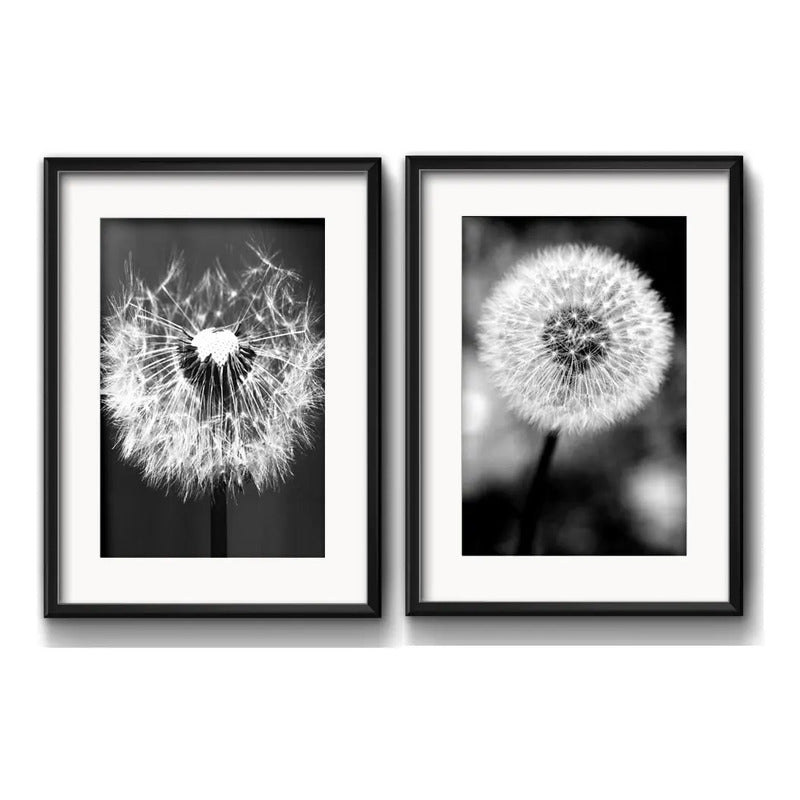 Set 2 Cuadros Diente De Leon Flores Blanco Y Negro Paspartú