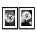 Set 2 Cuadros Diente De Leon Flores Blanco Y Negro Paspartú