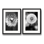 Set 2 Cuadros Diente De Leon Flores Blanco Y Negro Paspartú