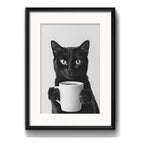 3 Cuadros Gato Tomando Vino Cafe Pet Decoracion Con Paspartú Marco Negro