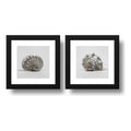 Set 2 Cuadros Conchas Playa Marino Nautico Arte - 33x33cm Marco Negro