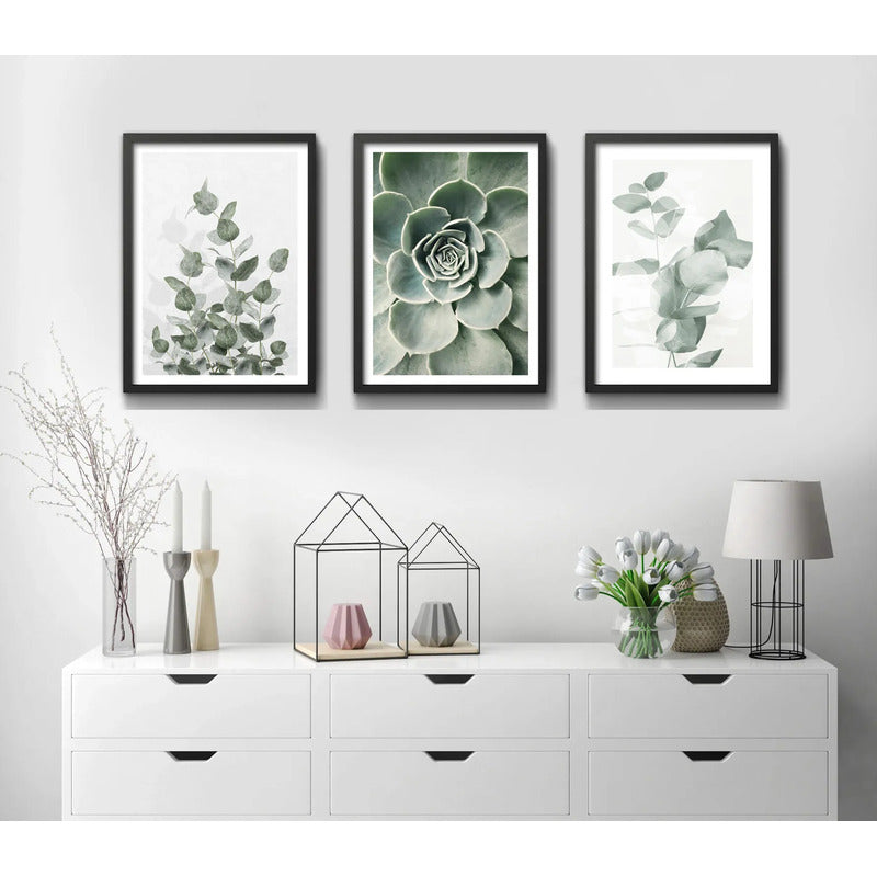 Set 3 Cuadros Naturaleza Verde Hojas Plantas Botanica Marco Negro