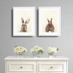 Set 2 Cuadros Conejo Pet Animal Arte Decoracion Con Paspartú